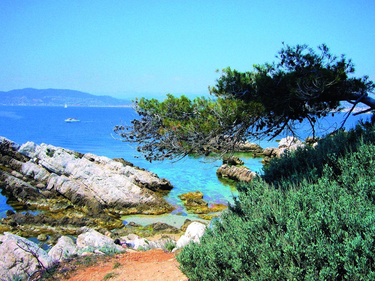 Les Rivages - Appartement Vue Mer Imprenable-Piscine Six-Fours-les-Plages Kültér fotó
